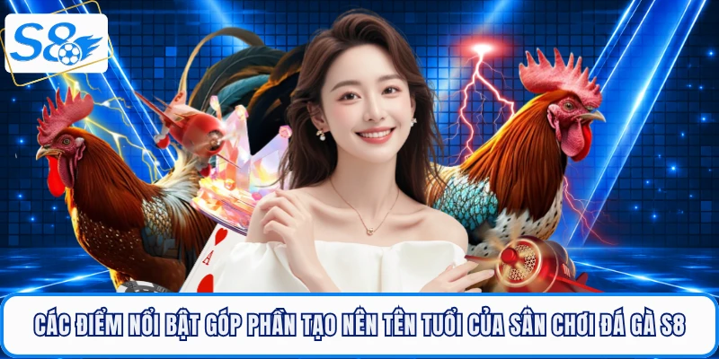 Các điểm nổi bật góp phần tạo nên tên tuổi của sân chơi đá gà S8