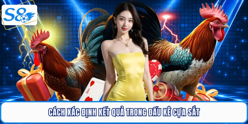 Cách xác định kết quả trong đấu kê cựa sắt