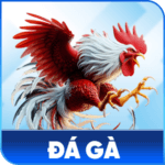 icon-da-ga-s8