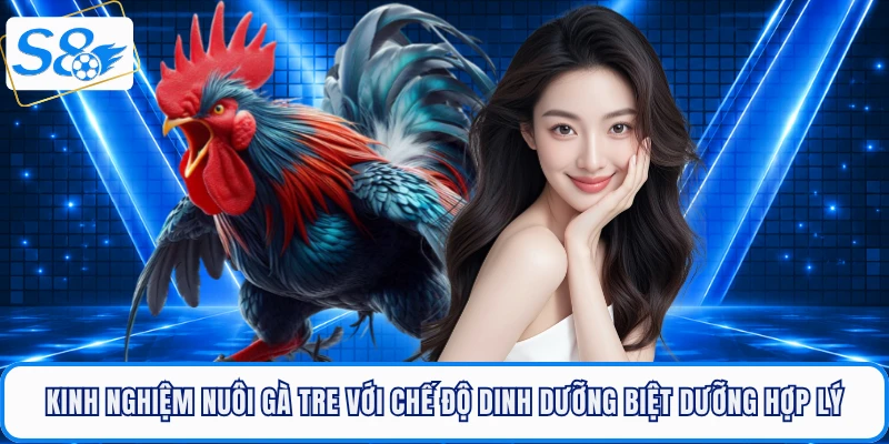 Kinh nghiệm nuôi gà tre với chế độ dinh dưỡng biệt dưỡng hợp lý