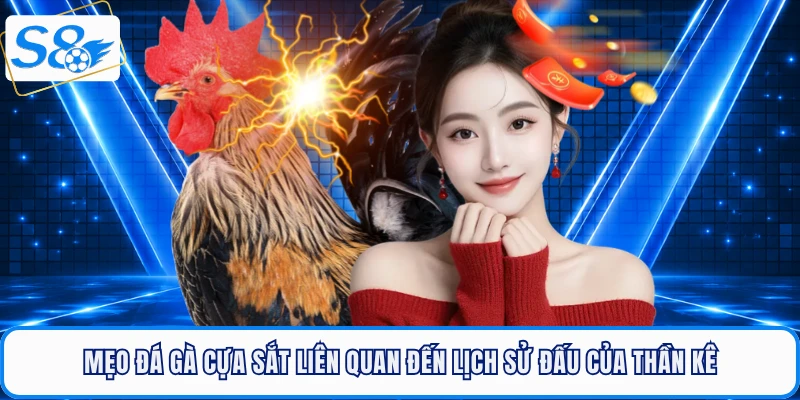 Mẹo đá gà cựa sắt liên quan đến lịch sử đấu của thần kê