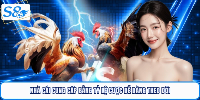 Nhà cái cung cấp bảng tỷ lệ cược dễ dàng theo dõi