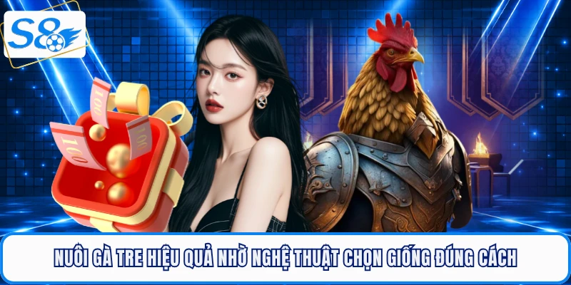 Nuôi gà tre hiệu quả nhờ nghệ thuật chọn giống đúng cách