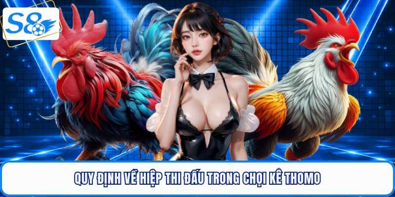 Quy định về hiệp thi đấu trong chọi kê Thomo